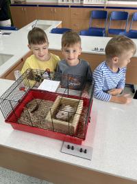 Náhodná fotogalerie