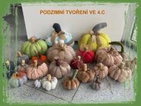 Náhodná fotogalerie