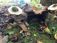 Náhodná fotogalerie